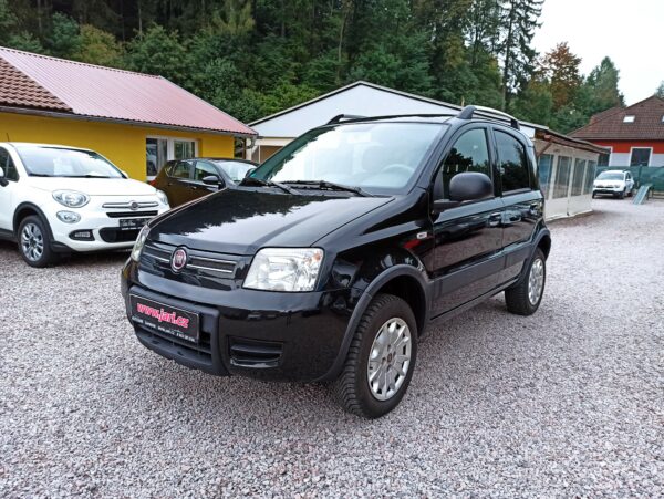 Fiat Panda 1.2i 4x4 🇨🇭